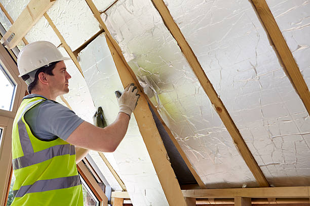Best Insulation Maintenance and Repair in Ely, MN